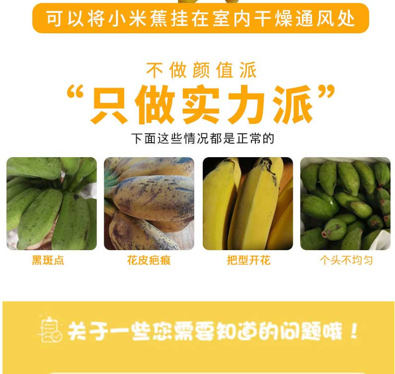 誉福农 小米蕉 新鲜水果香蕉 5斤包邮