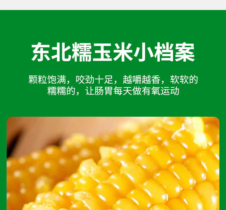 千里辽河 【四平】黄糯玉米5根/袋（200g*5根）