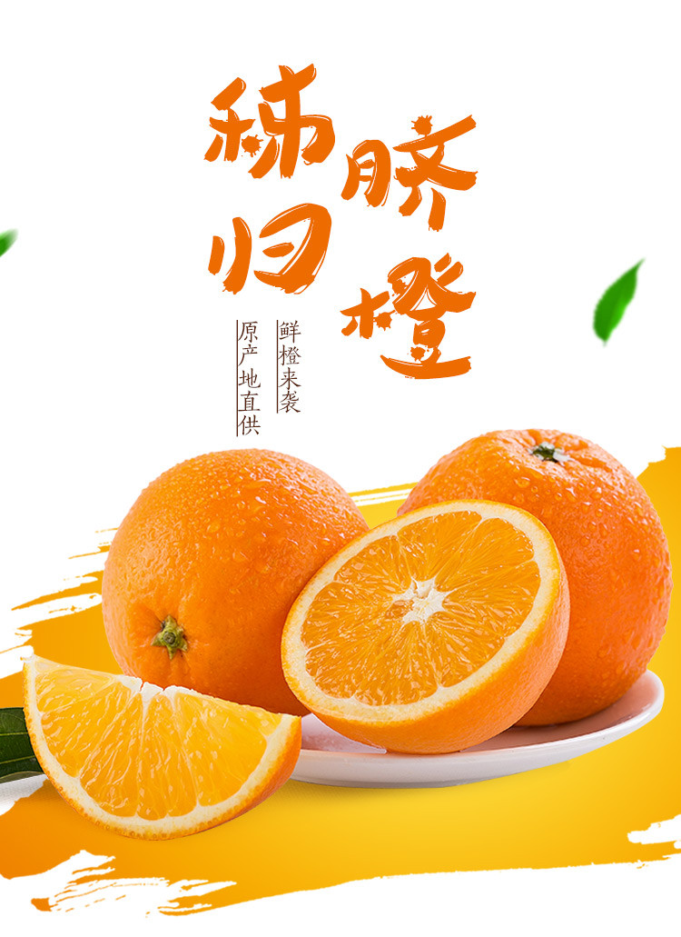 秭归脐橙 【秭归脐橙】【长红纽荷尔】带箱10斤装 （单果180g-230g)