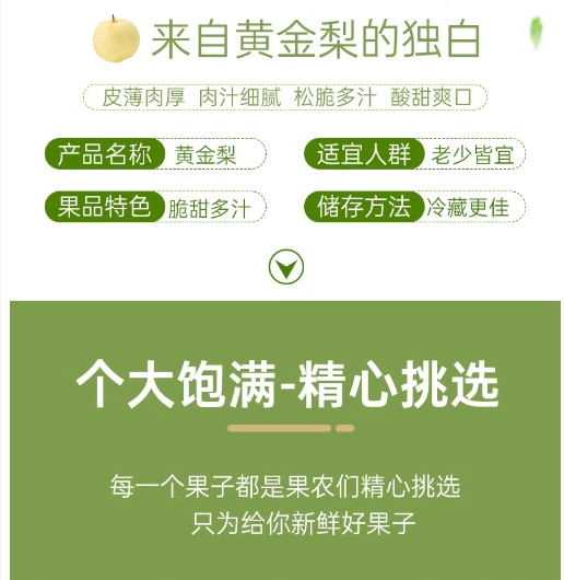 共欢圆 2024年博望黄金梨礼盒装12枚果园现摘现发梨子新鲜脆甜无渣