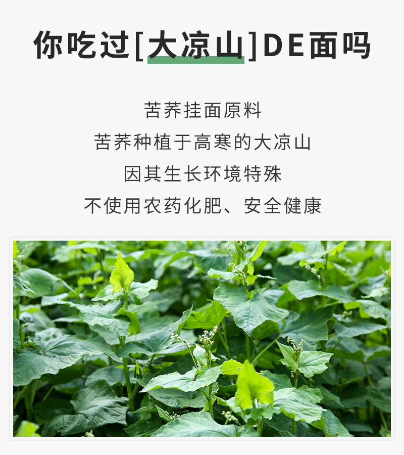 【邛池】苦荞挂面300g*3把 荞麦面条 苦荞面