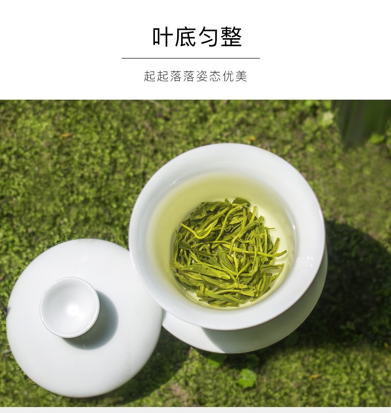 【宜宾邮政】叙府明前春芽高山毛尖绿茶 金罐125g