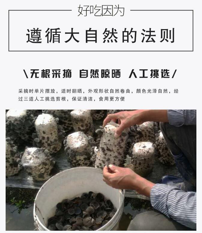 【通化邮政】原森 东北黑木耳 150g/袋 肉厚无根木耳