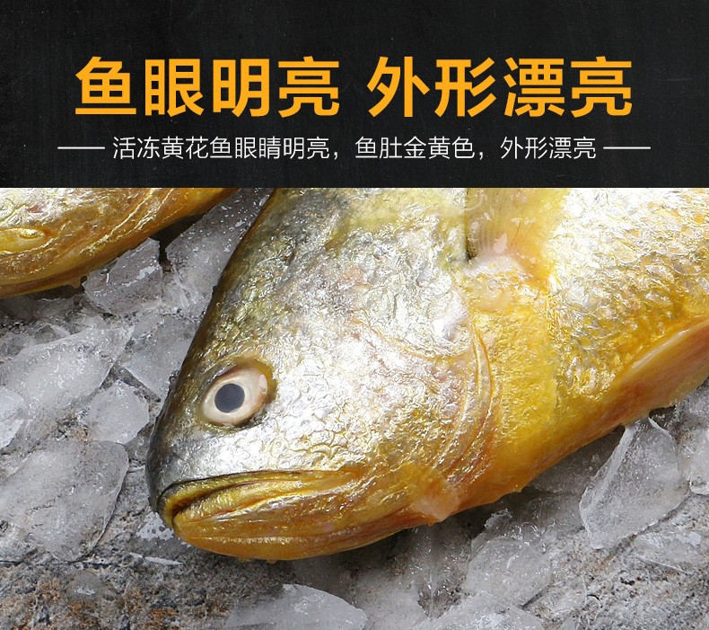  【邮乐自营】一袋惦记鲜生冷冻大黄花鱼450g(±50g)(单条净重)*3条海鲜水产生鲜鱼类顺丰冷链