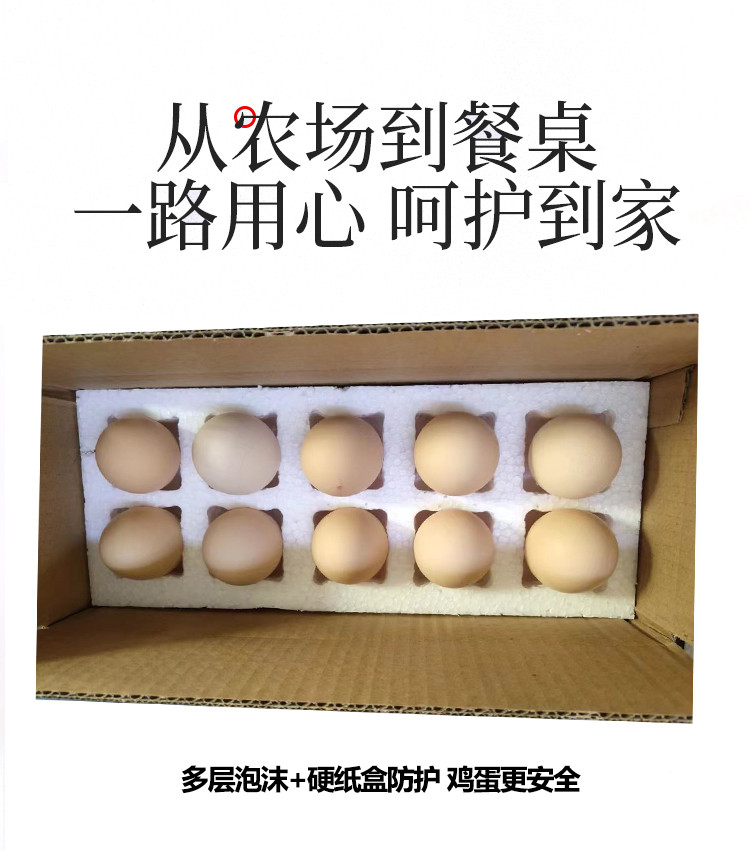 农家自产 农家散养土鸡蛋新鲜草鸡蛋柴鸡蛋本笨鸡蛋整箱20枚