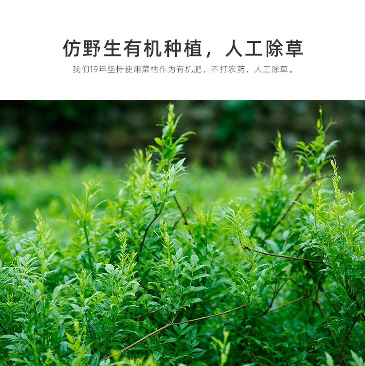  【邮乐自营】 茅岩莓 青云实惠装莓茶80g/盒