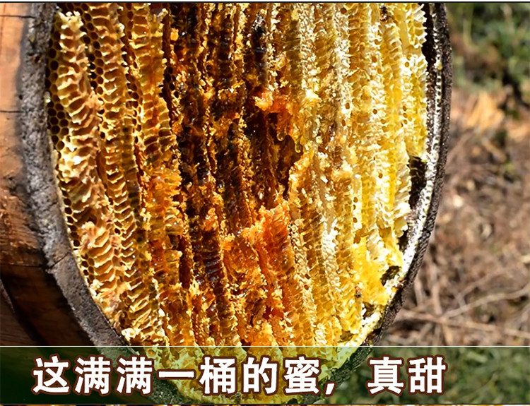  【邮乐自营】 森牧源 土蜂蜜500g/瓶