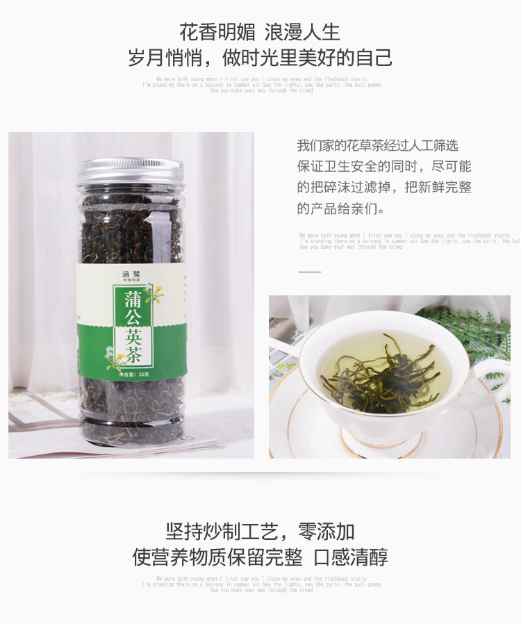 涵鹭蒲公英茶 罐装蒲公英叶茶婆婆丁【35g】