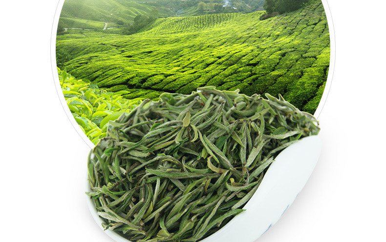 龙合 新茶春茶头采嫩芽安徽明前特级黄山毛峰毛尖75g罐装绿茶茶叶