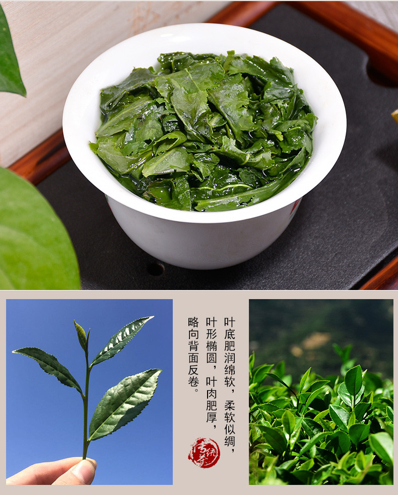 石草池 新茶安溪高山浓香型铁观音茶礼盒装500g