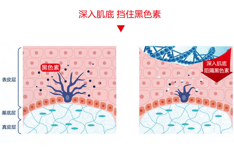 御雪臻颜无暇美白面膜【10片装】