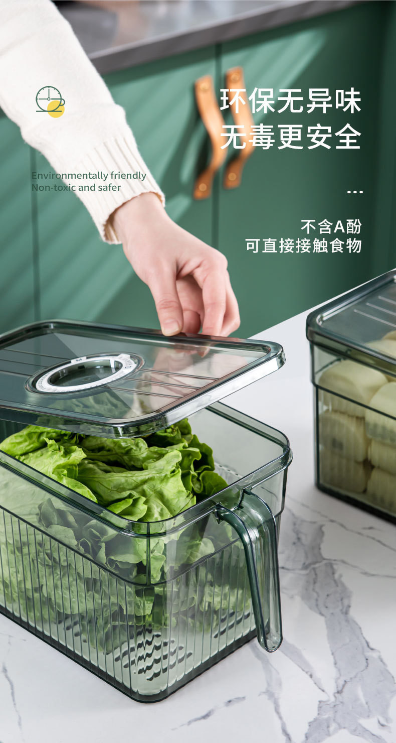 港德 冰箱收纳盒带手柄可沥水食品密封盒透明保鲜盒子中号 BX-01