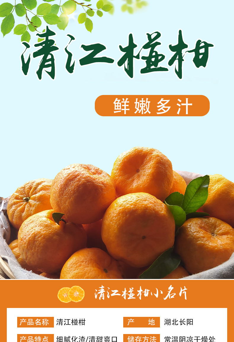 清江椪柑 特级45个中大果装 湖北长阳岩松坪新鲜当季水果蜜橘碰非芦沃粑粑