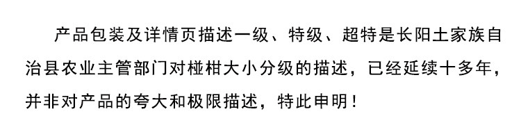 清江椪柑 特级45个中大果装 湖北长阳岩松坪新鲜当季水果蜜橘碰非芦沃粑粑