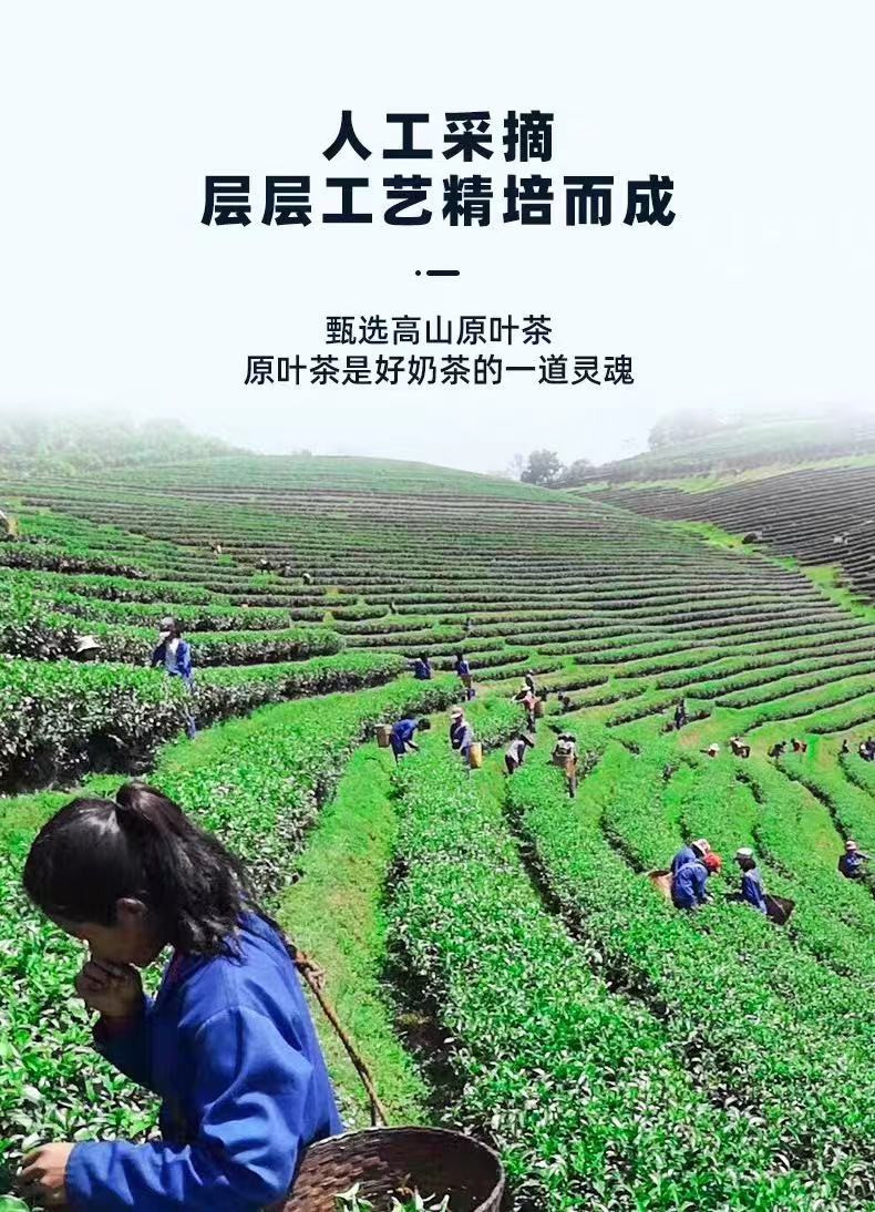 【领券立减5元】 荟摇奶茶网红手摇冲泡袋装低脂奶茶阿萨姆爆摇冲饮速溶76g*6袋