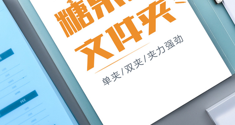 正彩（ZNCI）资料册商务档案资料夹彩色透明文件夹试卷夹 双夹办公用品1134