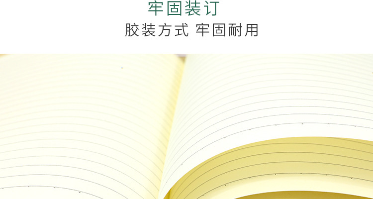 正彩 加厚笔记本子文具记事本文艺精致大学生16k个性创意商务A5学生用简约软面抄胶套本女生款 4本装