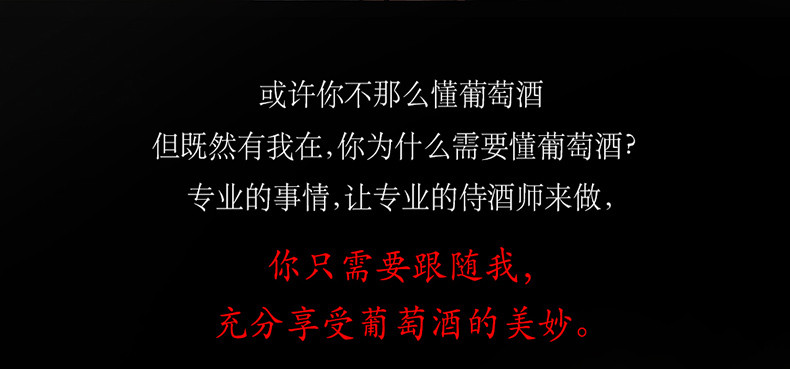 二瓶带礼袋 法国进口红酒杰特城堡珍藏干红葡萄酒