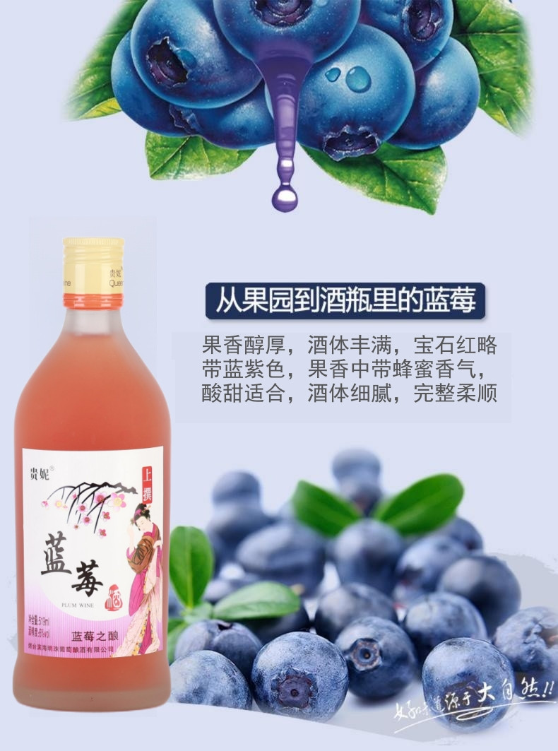 贵妮 六瓶 青梅酒杨梅酒蓝莓酒时尚果酒519ml*6