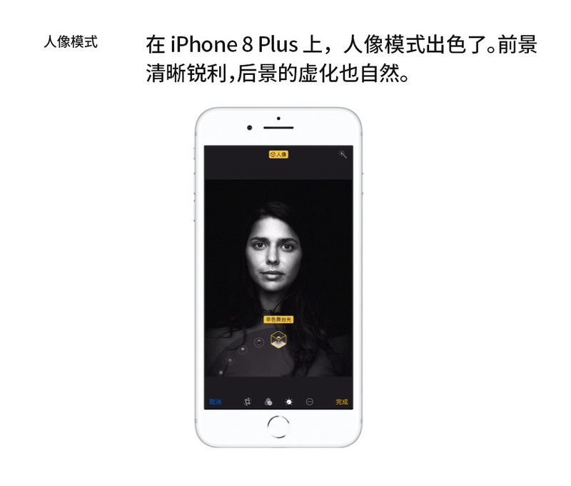 苹果/APPLE 8 Plus (A1864) 移动联通电信 全网通4G手机 64G