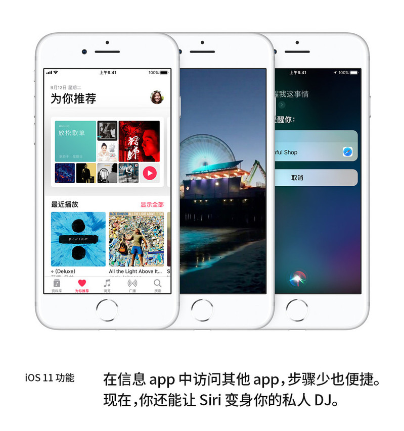 苹果/APPLE 8 Plus (A1864) 移动联通电信 全网通4G手机 64G