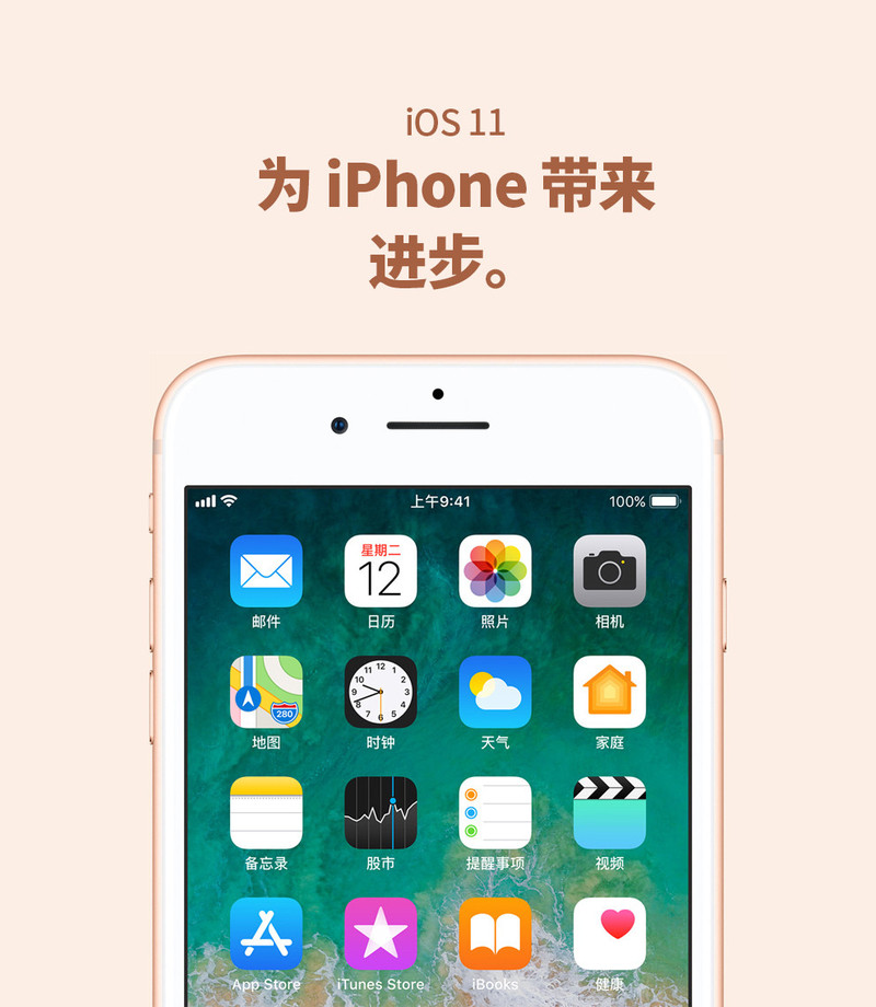 苹果/APPLE 8 Plus (A1864) 移动联通电信 全网通4G手机 64G