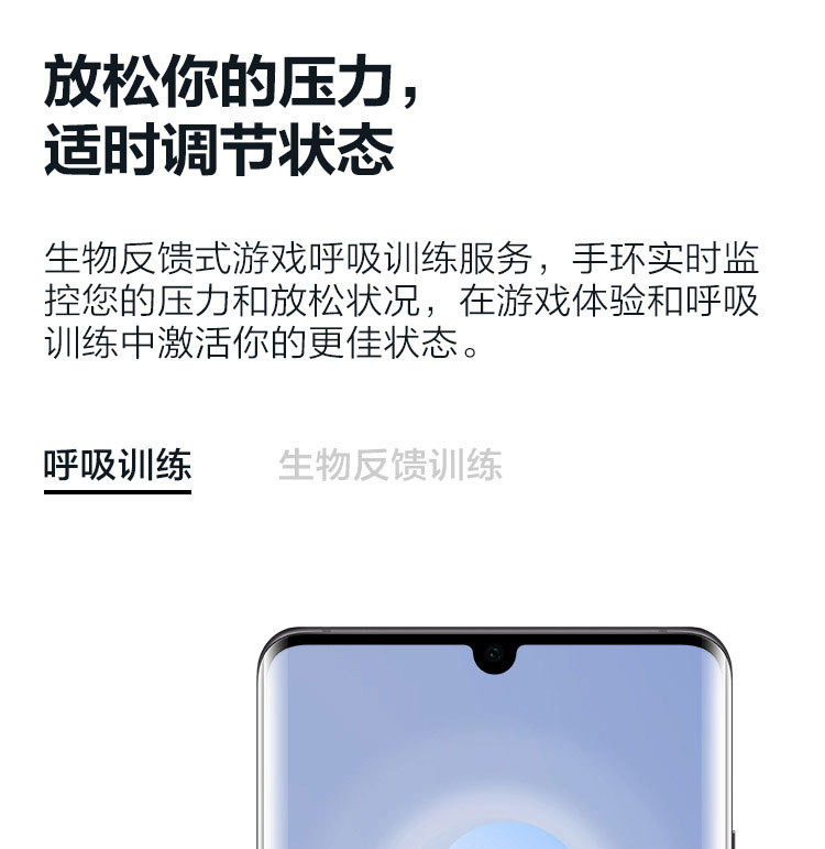 华为/HUAWEI B5商务版手环 智能手环 蓝牙耳机+心率监测+彩屏+触控+压力监测