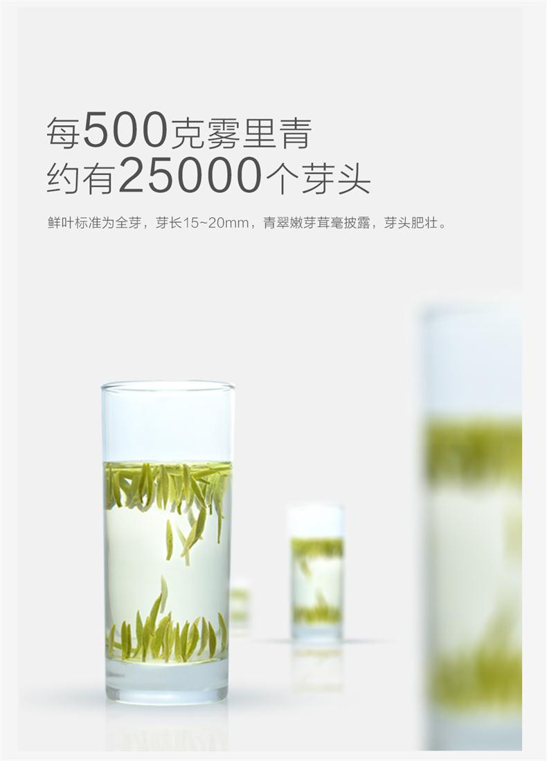 2019新茶上市 天方雾里青 特级 150g 礼盒装