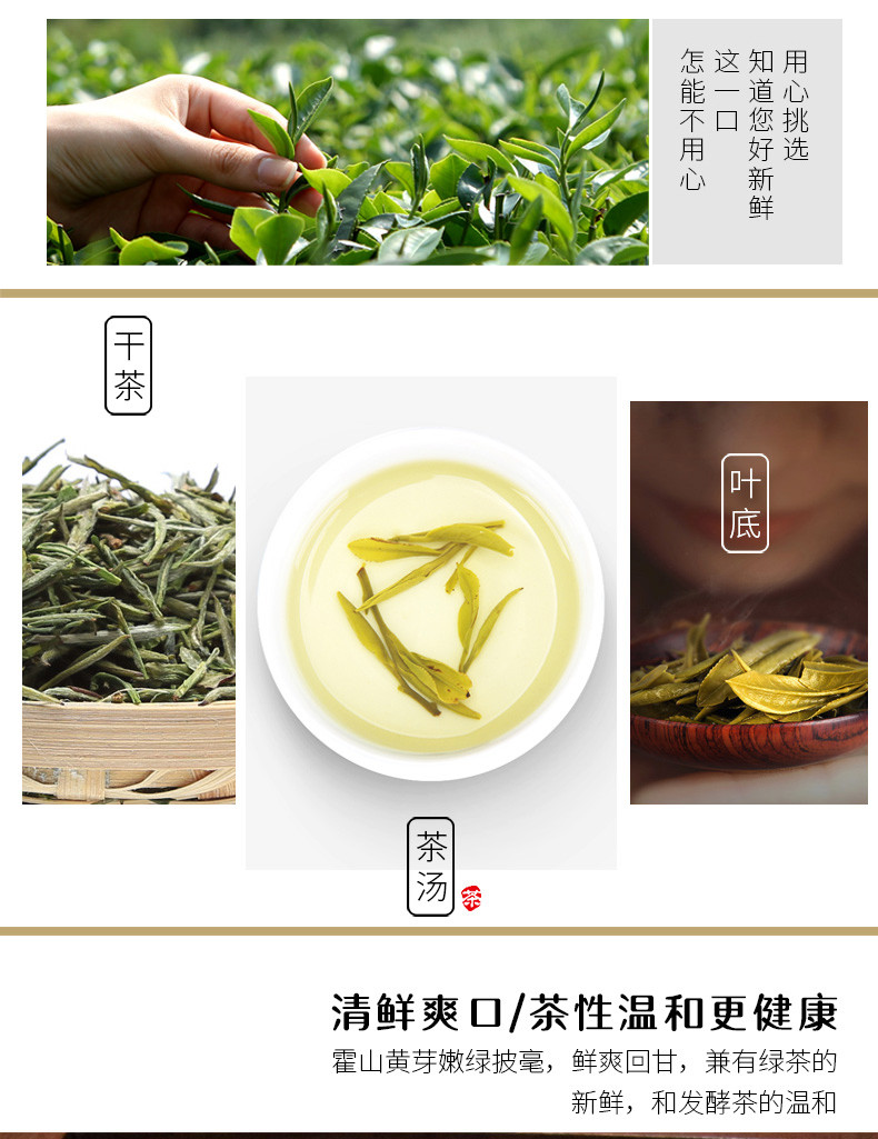 2019新茶上市 鑫茗雨 霍山黄芽 二级 袋装 500g