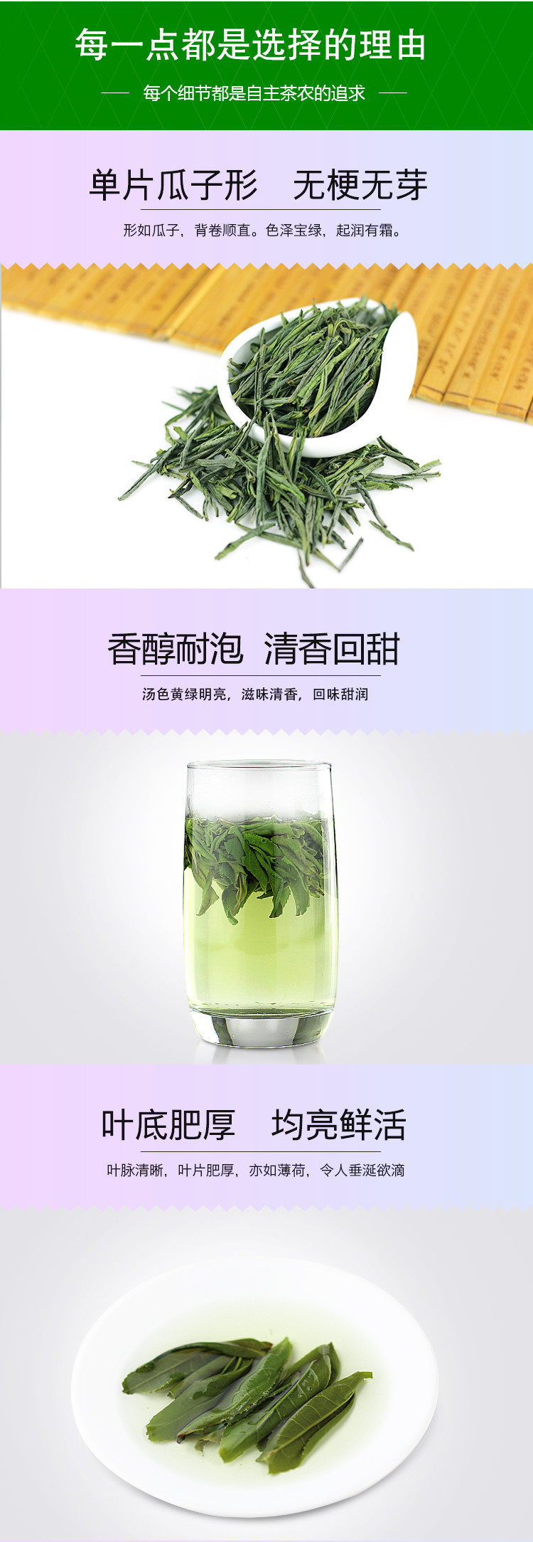 2019新茶上市 名优茶 瓜片 二级 简易礼盒 400g