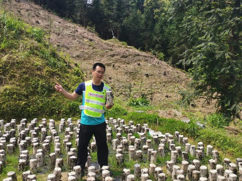 三江县农村电商扶贫项目：曲村高山云雾山泉富硒云耳