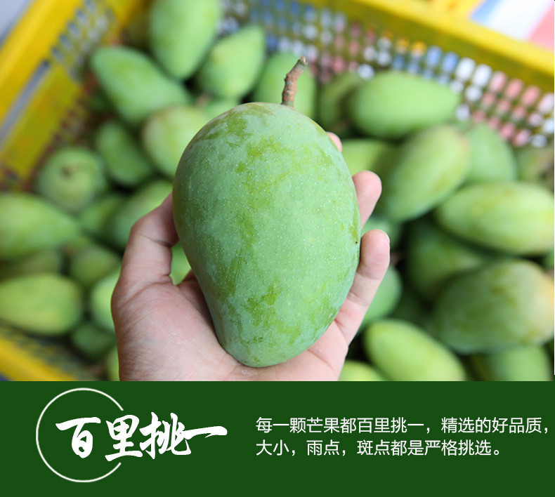 邮鲜生 【超值】广西大台农芒果10斤装18个左右