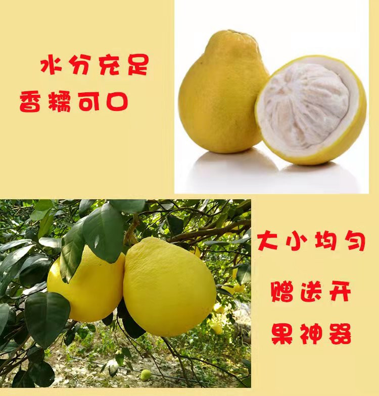 【促销】广西融水檽米柚2个装