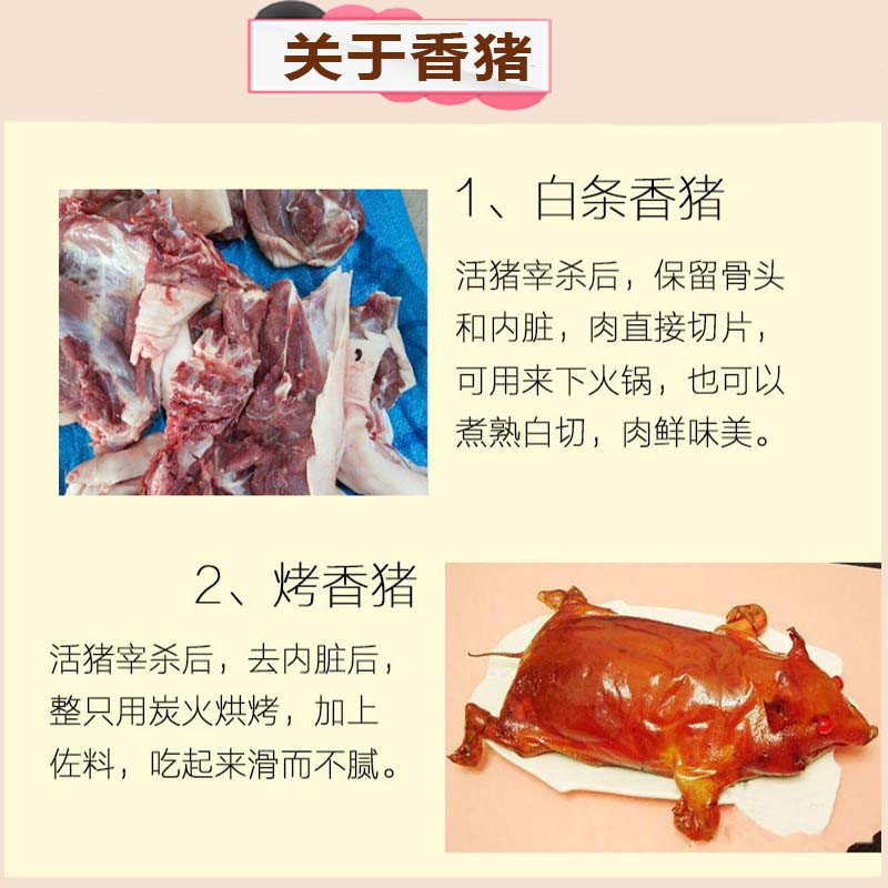 环江明伦腊香猪