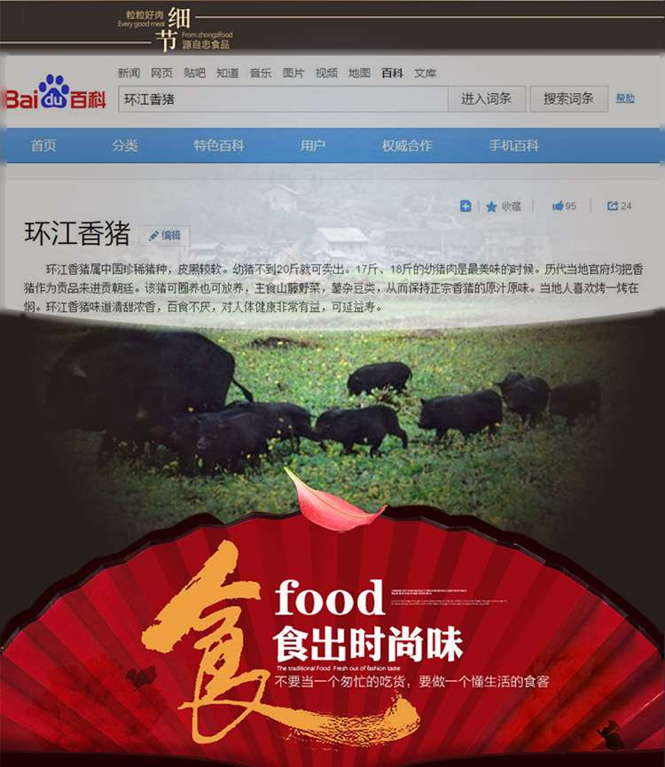 环江老谭家香肉条80g