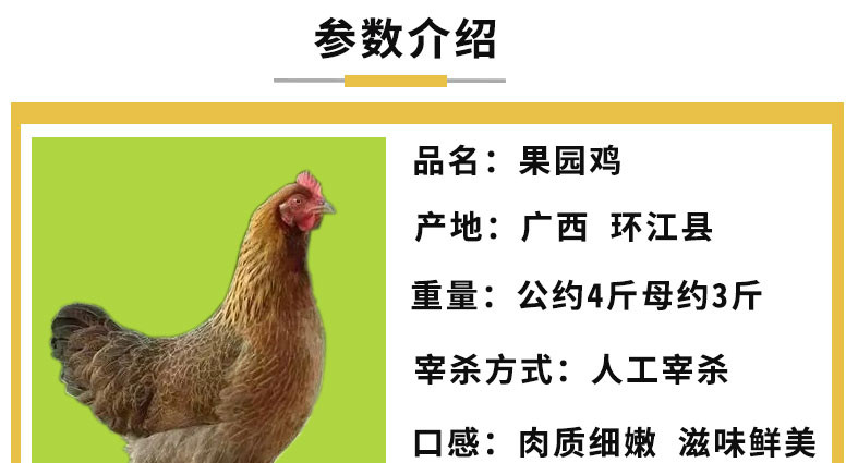 环江果园鸡农家自养土鸡现杀发货