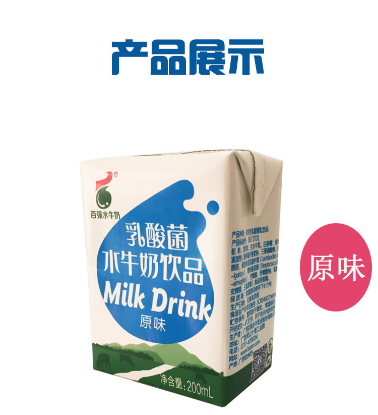 【百菲酪】广西优质水牛奶常温型乳酸菌水牛奶饮品（原味）包邮