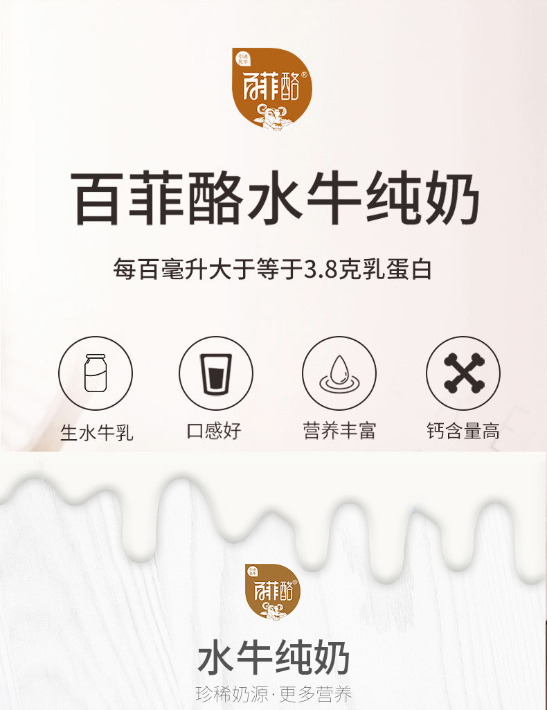 【百菲酪】广西优质水牛奶水牛纯奶常温牛奶包邮