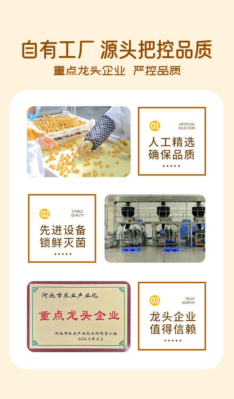 双狮益香园 广西特产去壳板栗仁即食真空小包装200g*1盒