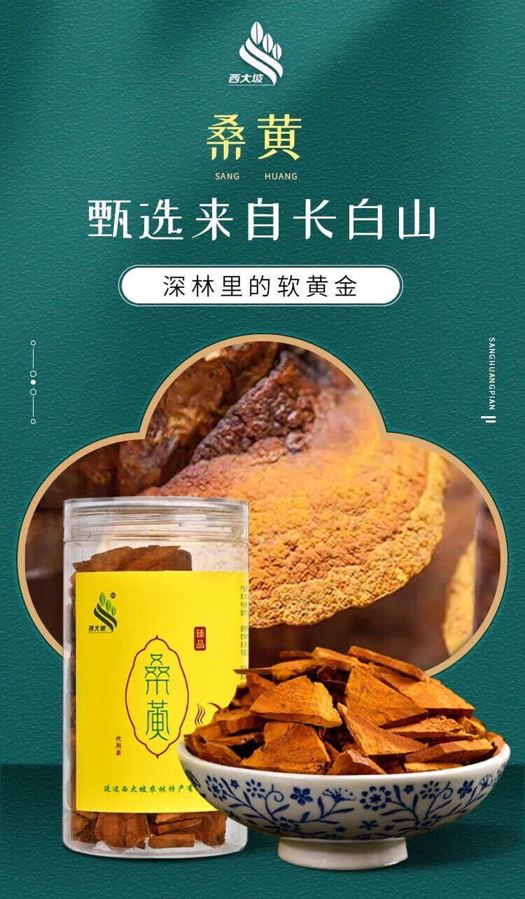 西大坡 延边长白山桑黄（切片）