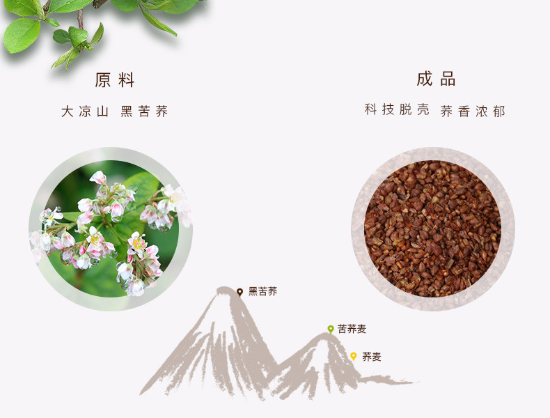 随易anyway 黑苦荞茶四川凉山全胚芽荞麦苦乔袋泡茶480g