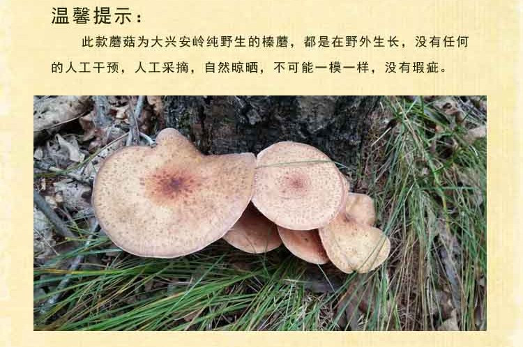 【原产地直邮】东北特产黑龙江西官村野生榛蘑150g袋装