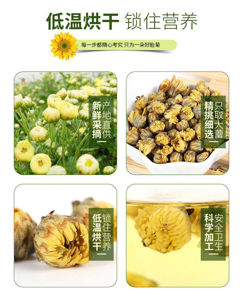 【原产地直邮】宁夏自产胎菊欧盟标准菊花茶50g罐装