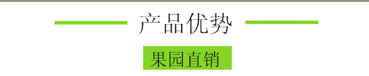 【原产地直邮】现摘现发攀枝花应季新鲜水果米易枇杷5斤包邮