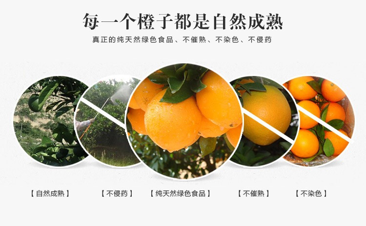 【原产地直邮】重庆奉节脐橙现摘现发新鲜应季水果75-80mm橙子10斤包邮