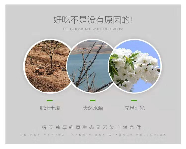 【福山福地农产品】山东烟台栖霞红富士苹果10斤/箱