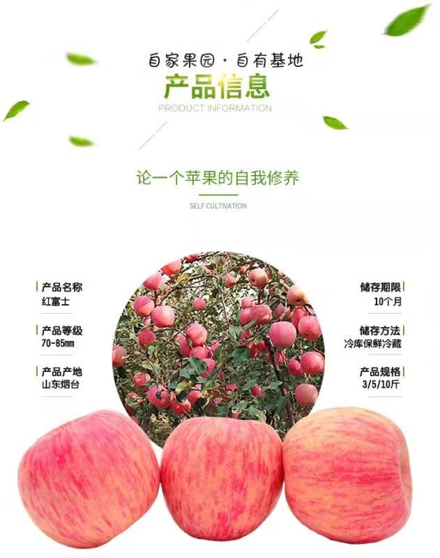 【福山福地农产品】山东烟台栖霞红富士苹果10斤/箱