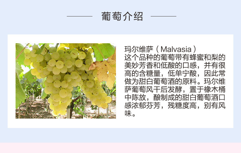 意大利之花 Malvasia 甜型起泡葡萄 750ML