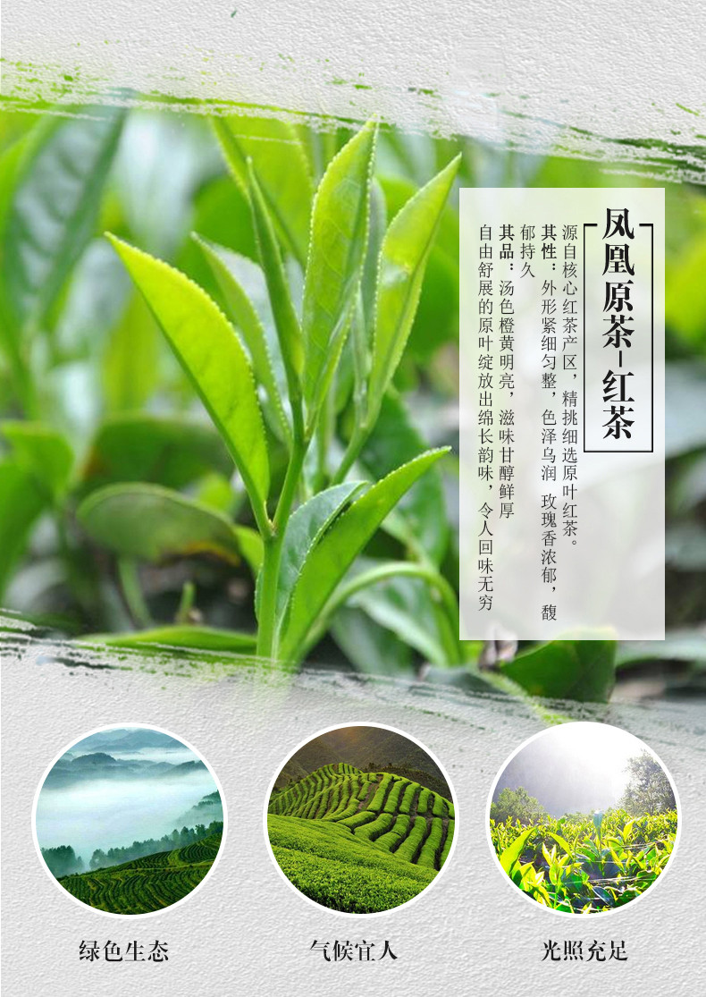 凤凰原茶红茶45g袋泡茶双盒装