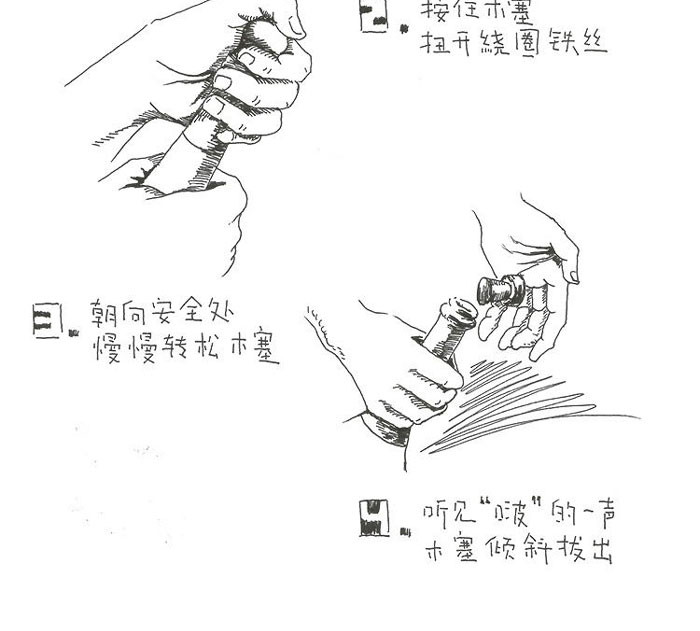 灰燕百露香白起泡葡萄酒 单支装